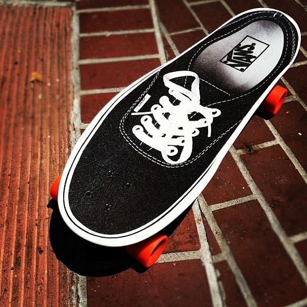 women's campton 6 inch waterproof boots