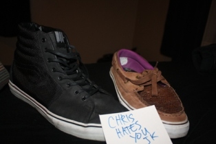 Ballistic Nylon Sk8-Hi and the snake skin ZDB LX